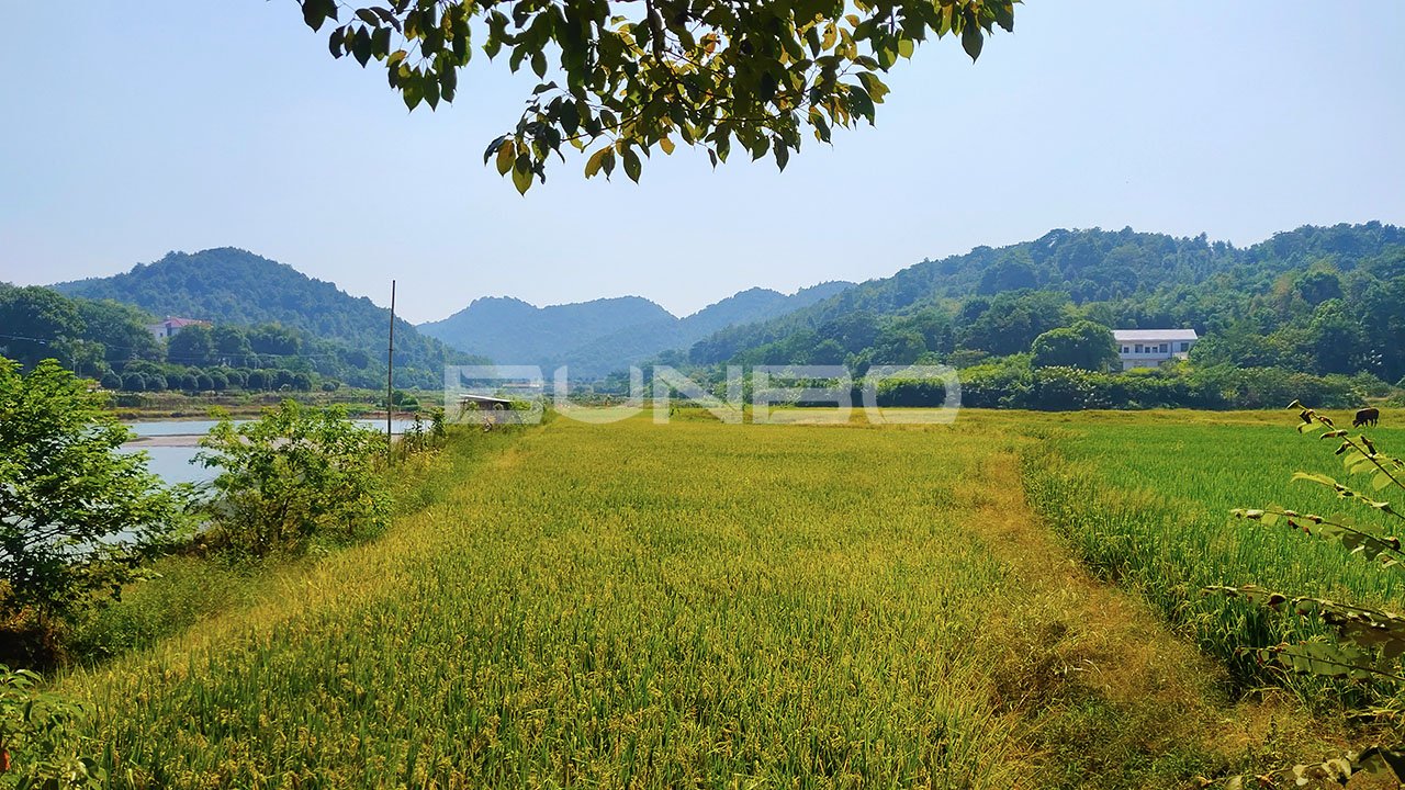 南宁乡康养小镇