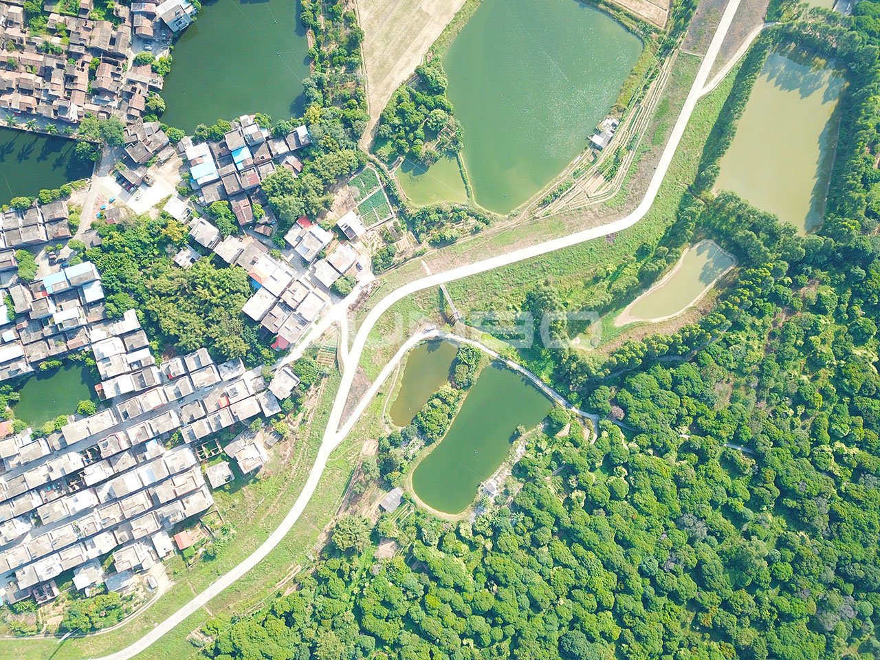 广州增城区石滩镇增江东岸连片规划