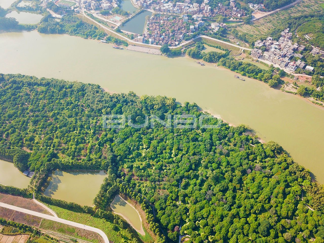 广州增城区石滩镇增江东岸连片规划