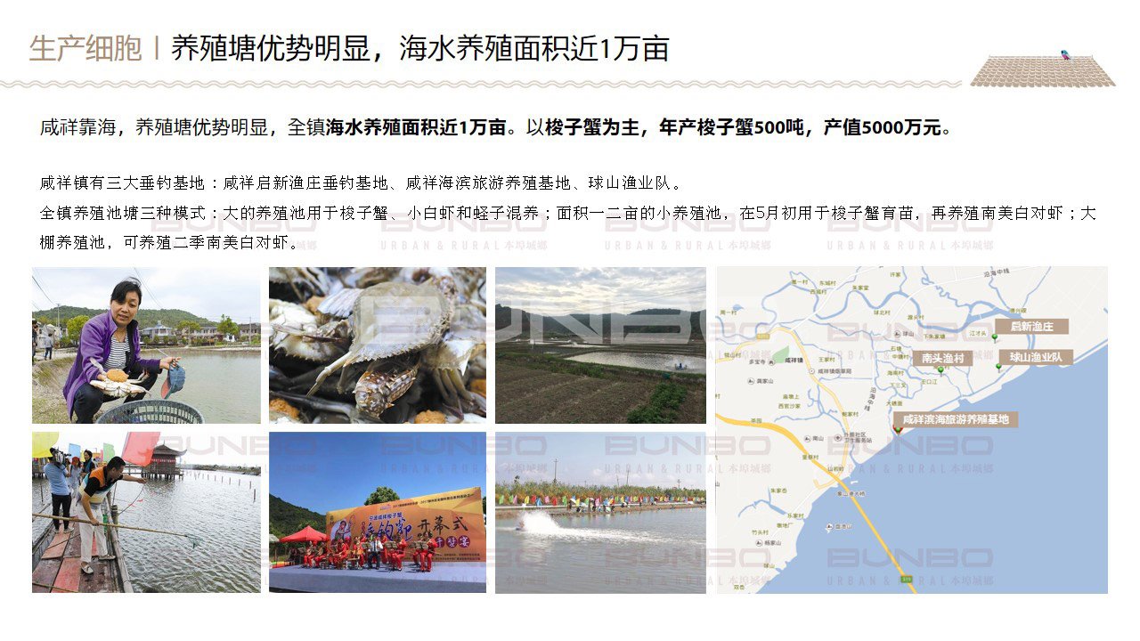 宁波咸祥文化梳理