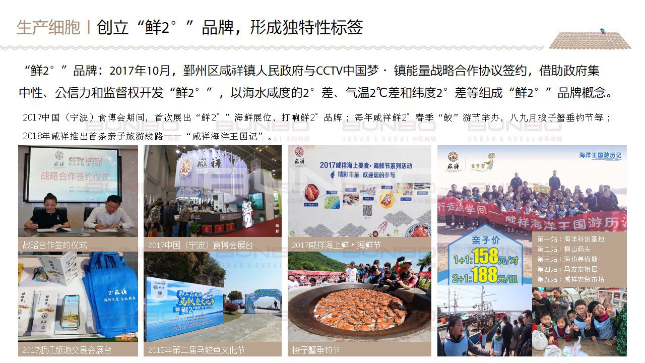 宁波咸祥文化梳理