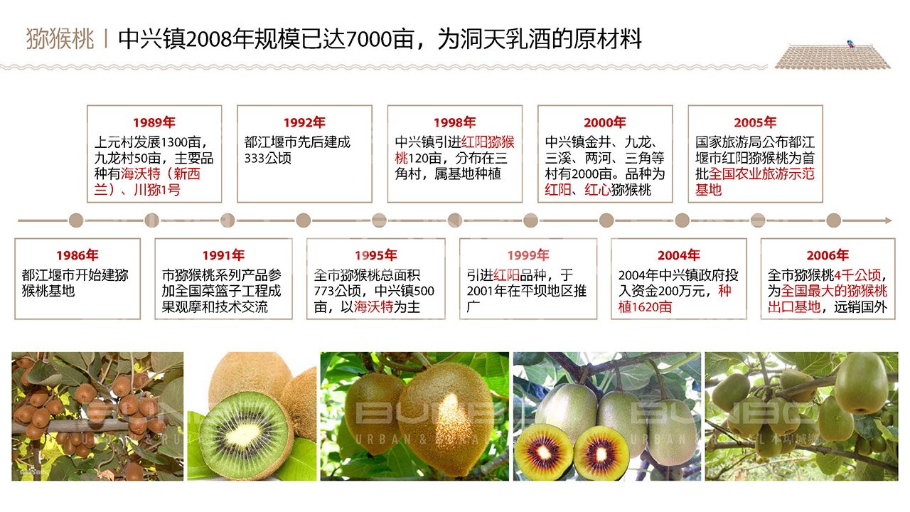 中兴镇，中国长寿之乡