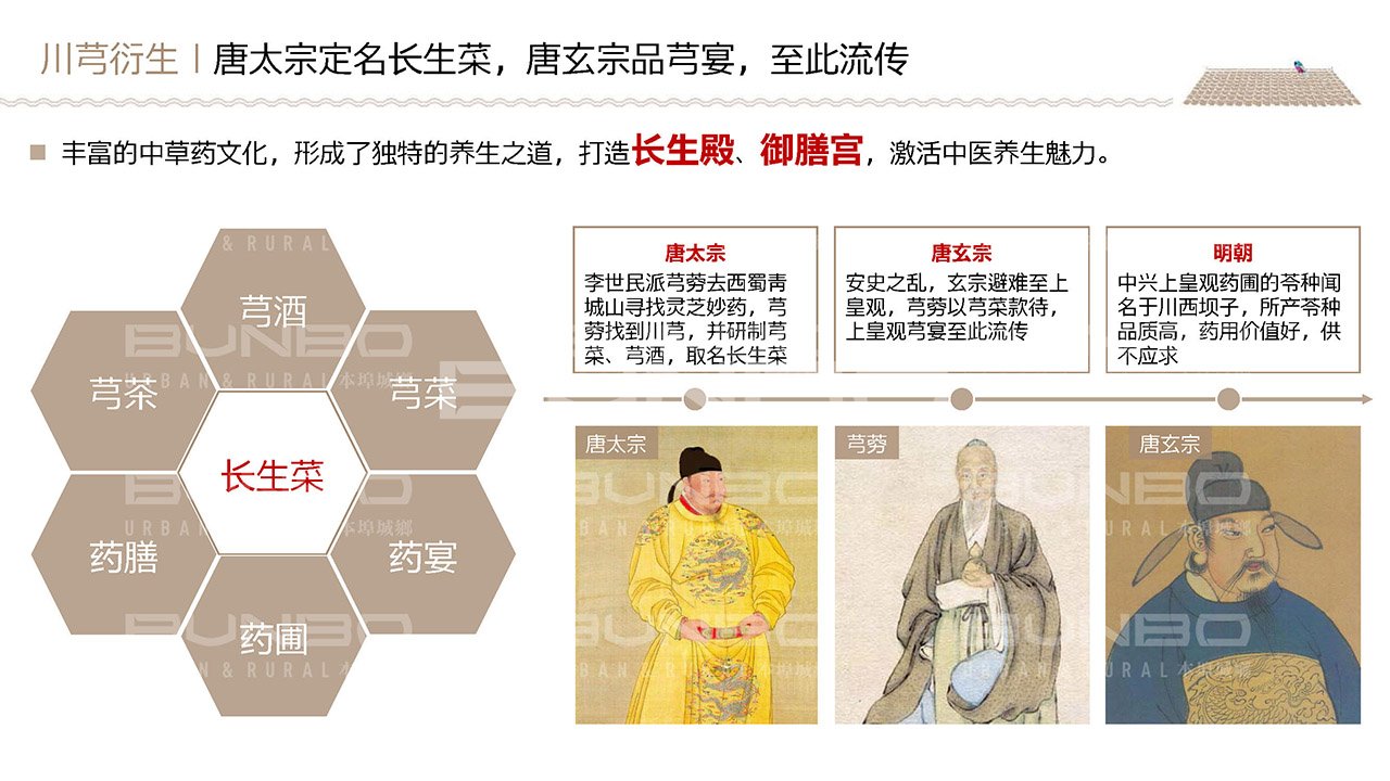 绿地四川都江堰小镇概念策划