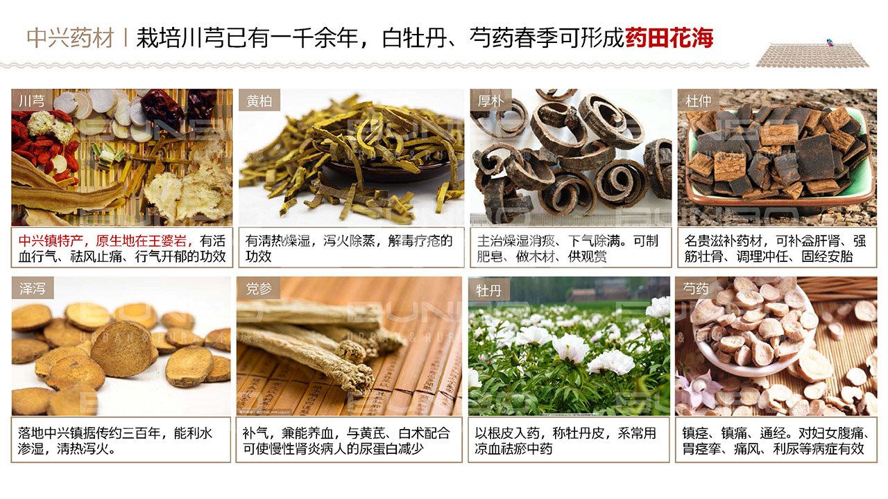 绿地四川都江堰小镇概念策划