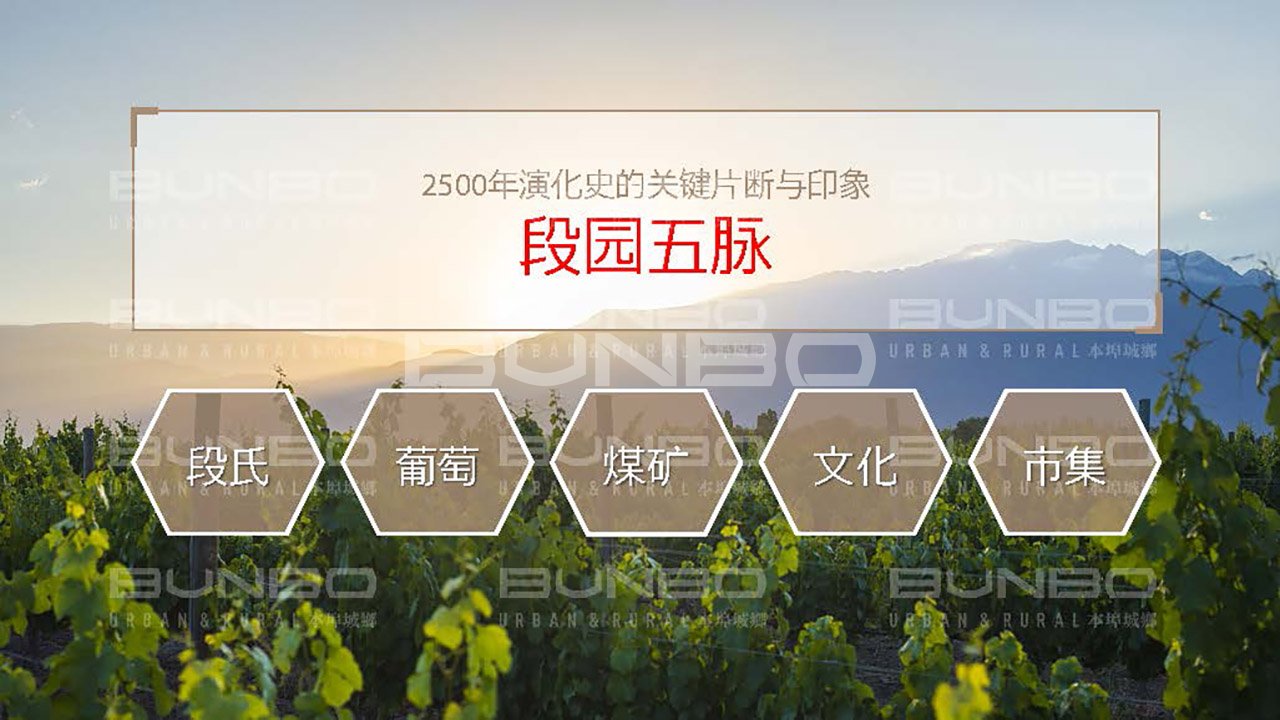 淮北段园小镇全域策划与概念规划