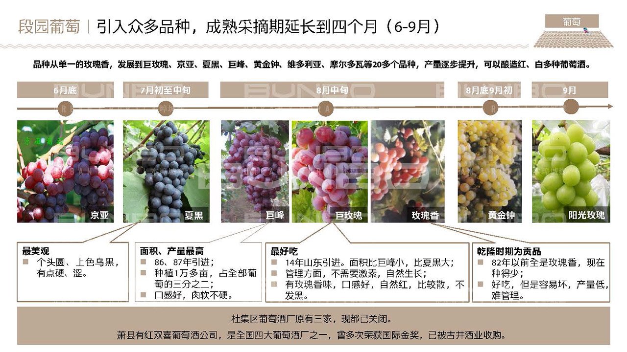 淮北段园小镇全域策划与概念规划