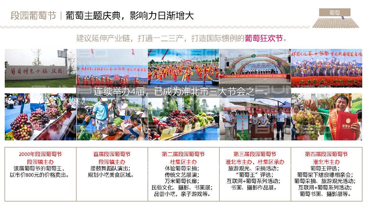 淮北段园小镇全域策划与概念规划