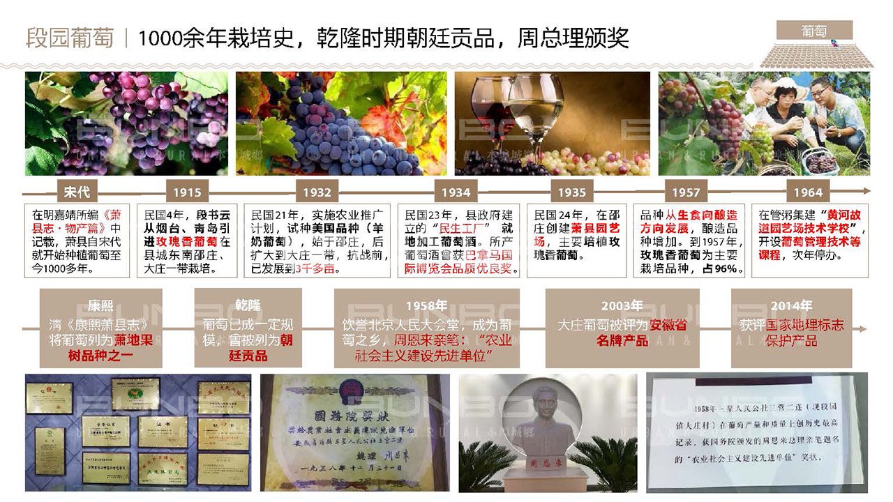 淮北段园小镇全域策划与概念规划