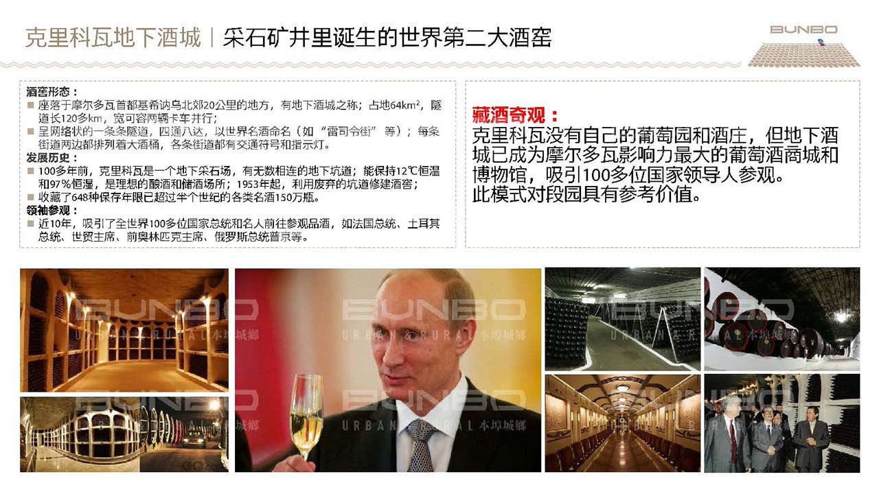 绿地淮北段园小镇策划与概念规划