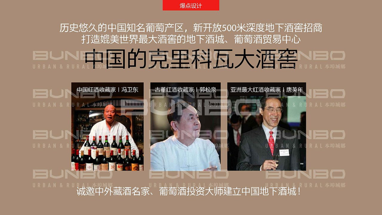 《绿地淮北段园小镇策划与概念规划》