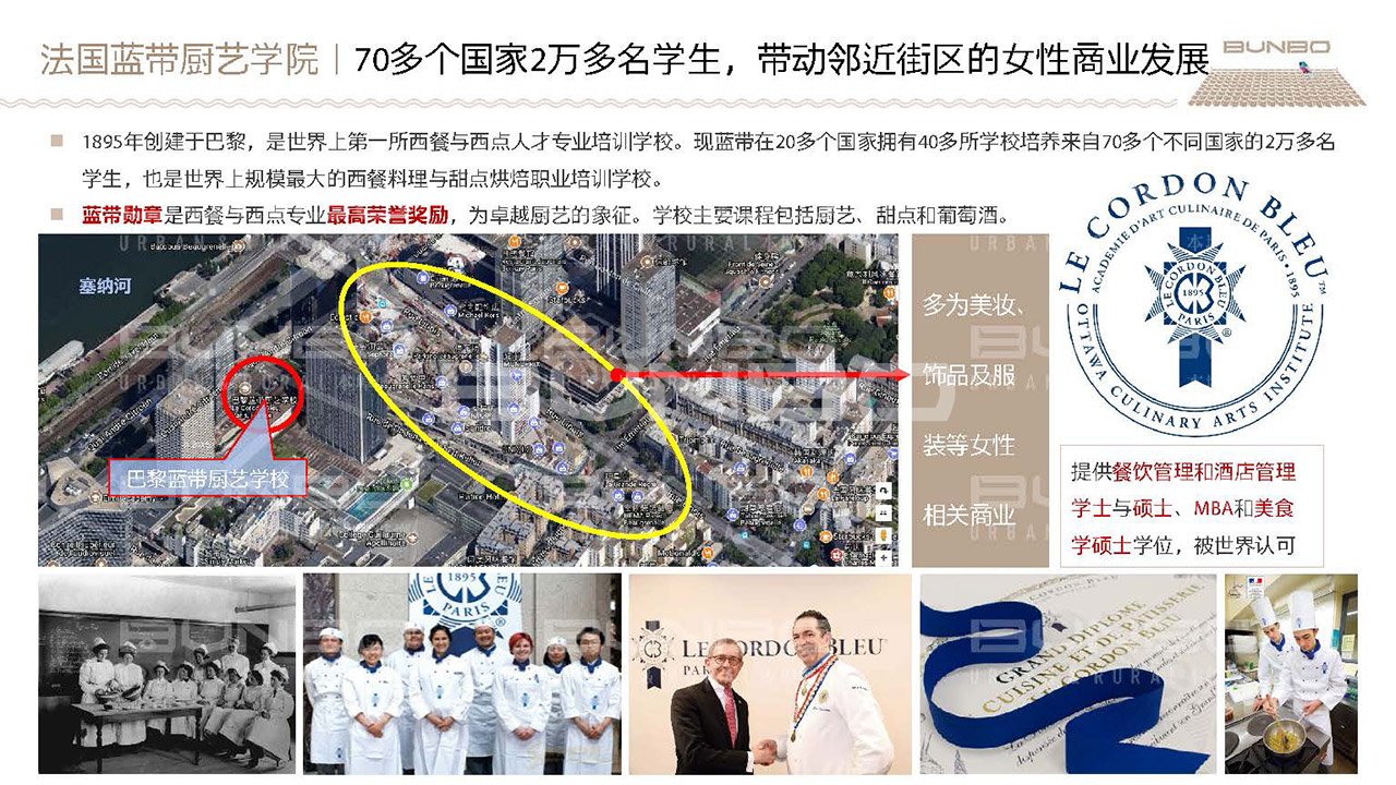 《绿地淮北段园小镇策划与概念规划》