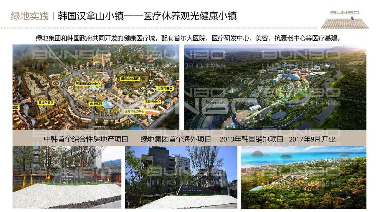 《绿地淮北段园小镇策划与概念规划》