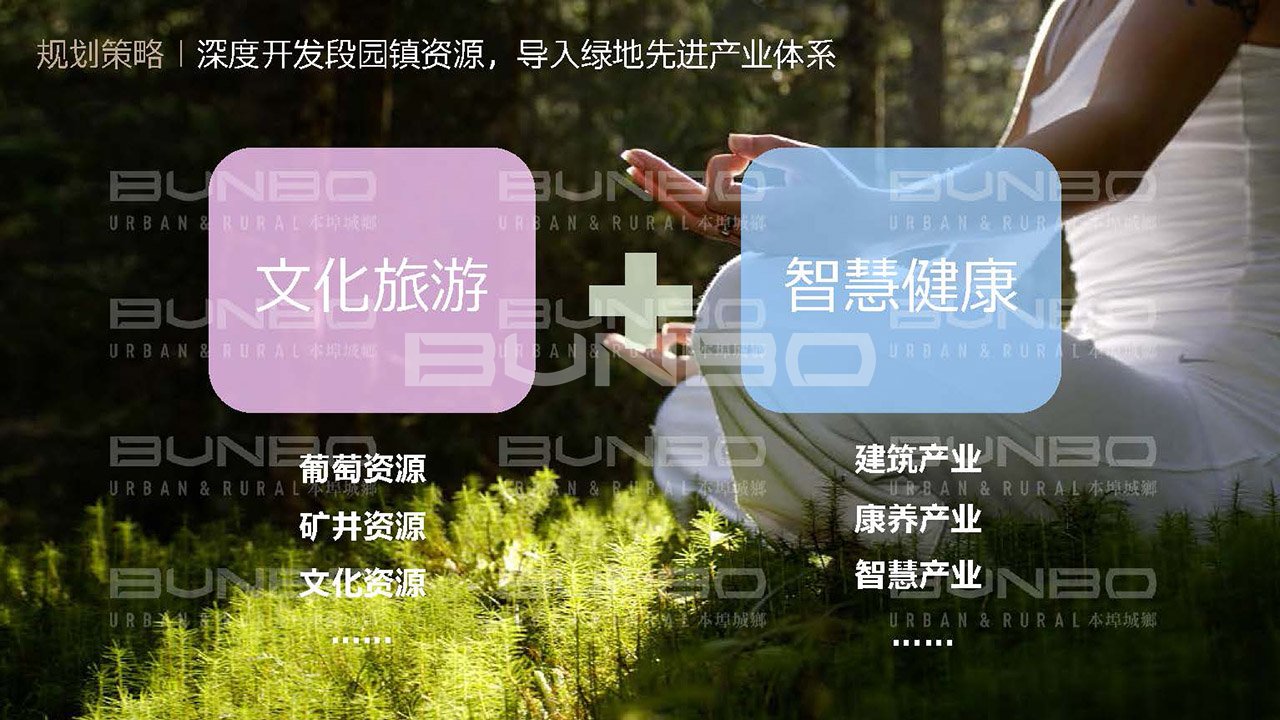 淮北段园镇全域策划与概念规划