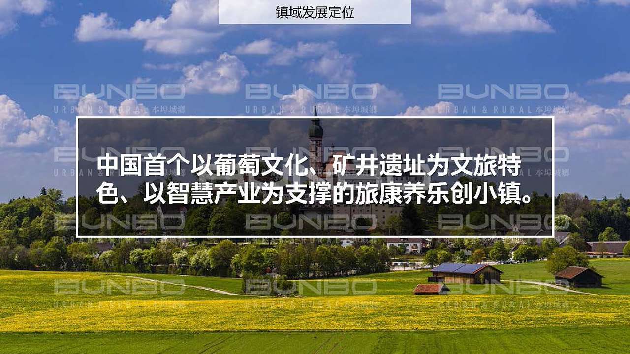 淮北段园镇全域策划与概念规划