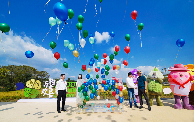 融创欢喜欢喜乐园