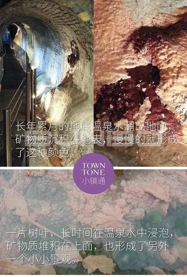 治愈系说明书，卡罗维发利提供的欧洲小镇温泉圣经