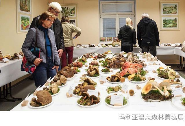 弄丢自带流量的世界电影节后，玛利亚小镇怎样重新站起？