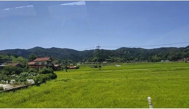 年龄大、位置偏、人口少没问题!足立全康乡村振兴杰作足立美术馆