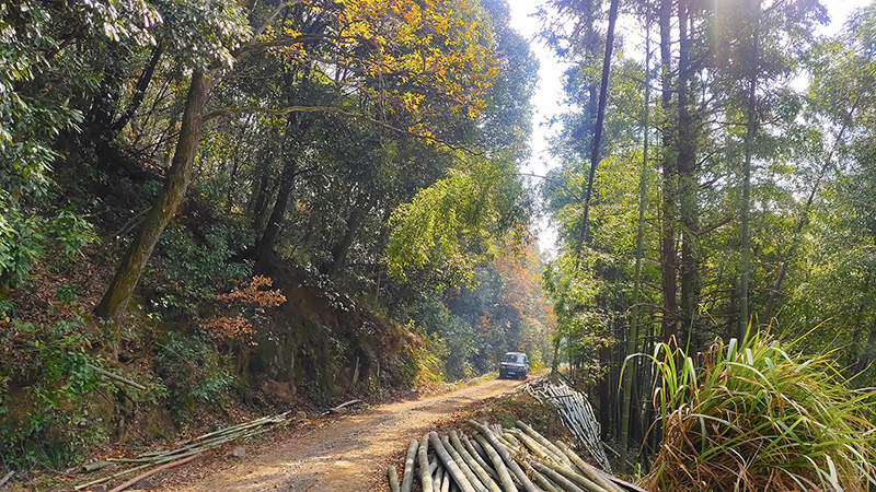 杭州东明山旅游区
