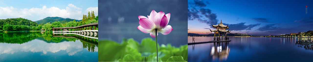 绿城品牌发布会