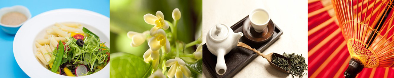 绿城品牌发布会PPT