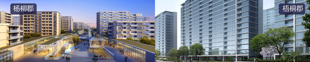 绿城品牌发布会