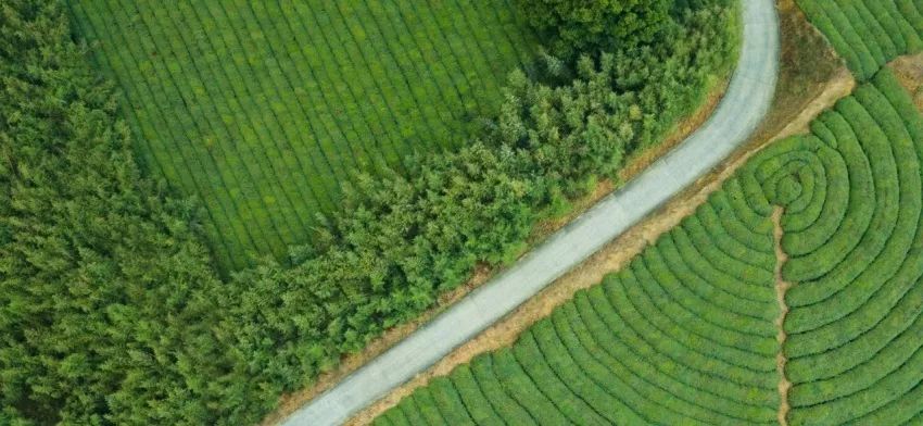 融创莫干溪谷实景图