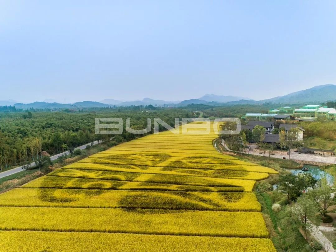 莫干溪谷实景图