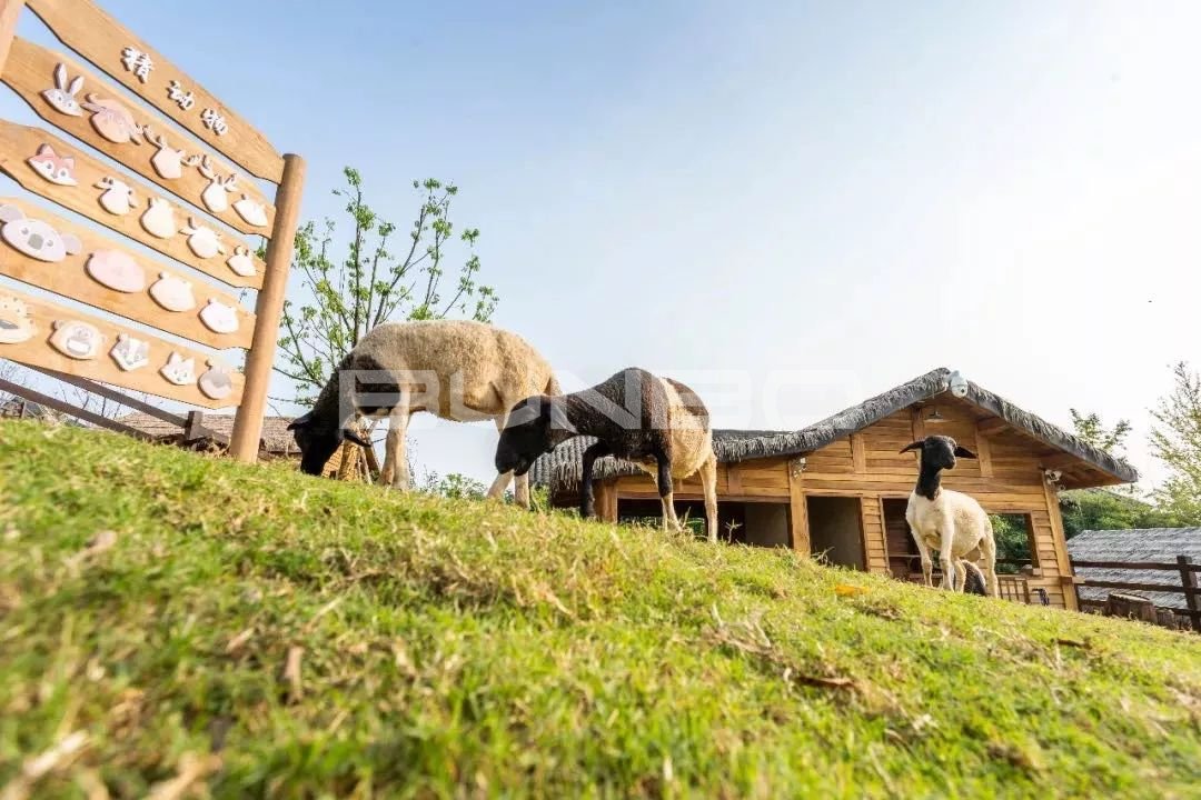 莫干溪谷实景图