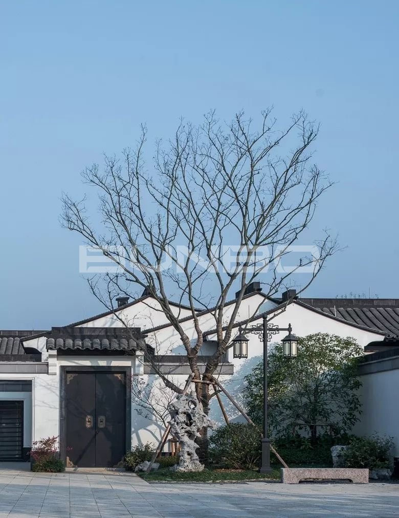 中式合院街巷实景图