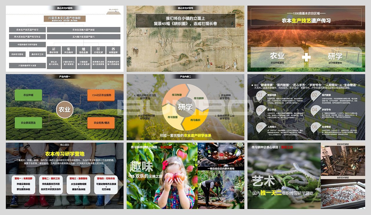 蓝城南充桃李春风小镇策划与概念规划