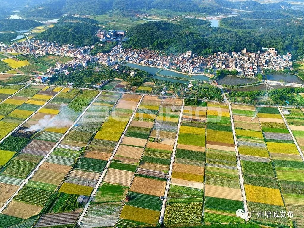 广州初心十里大湾区田园自然教育示范区