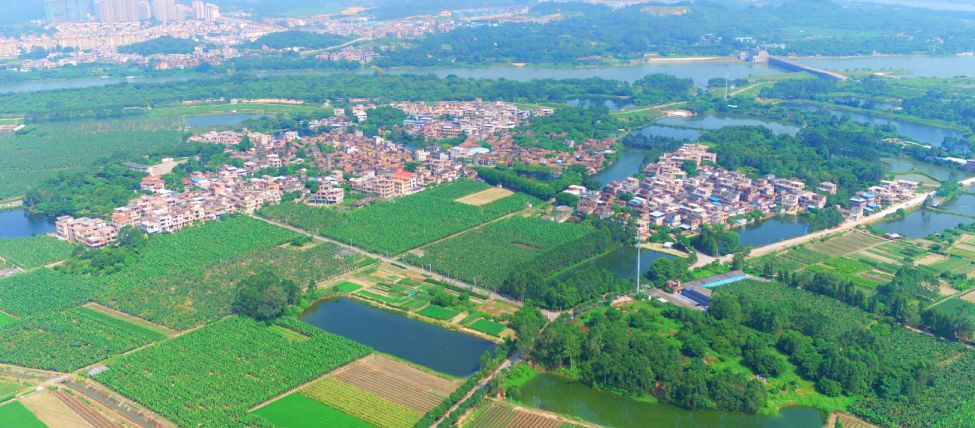 广州初心十里大湾区田园自然教育示范区