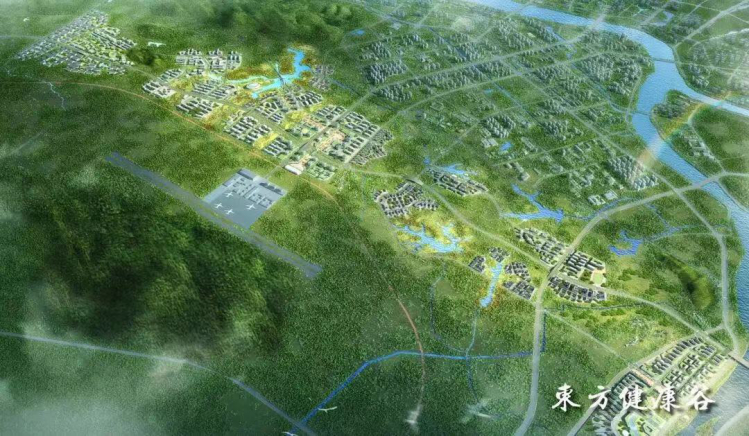 上饶国际医疗旅游先行区(上饶国家中医药健康旅游示范区)总体规划