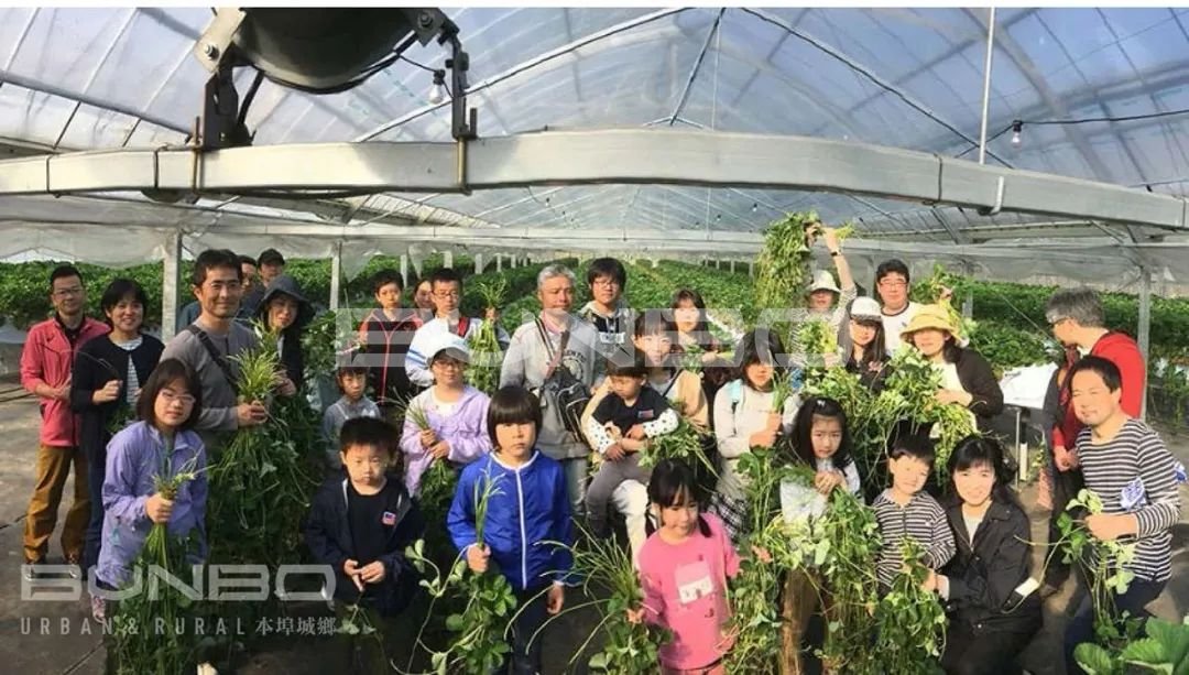 日本MOKUMOKU农场,年收入超过50亿