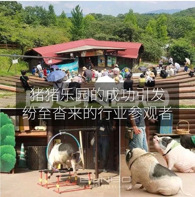 日本MOKUMOKU亲子农场