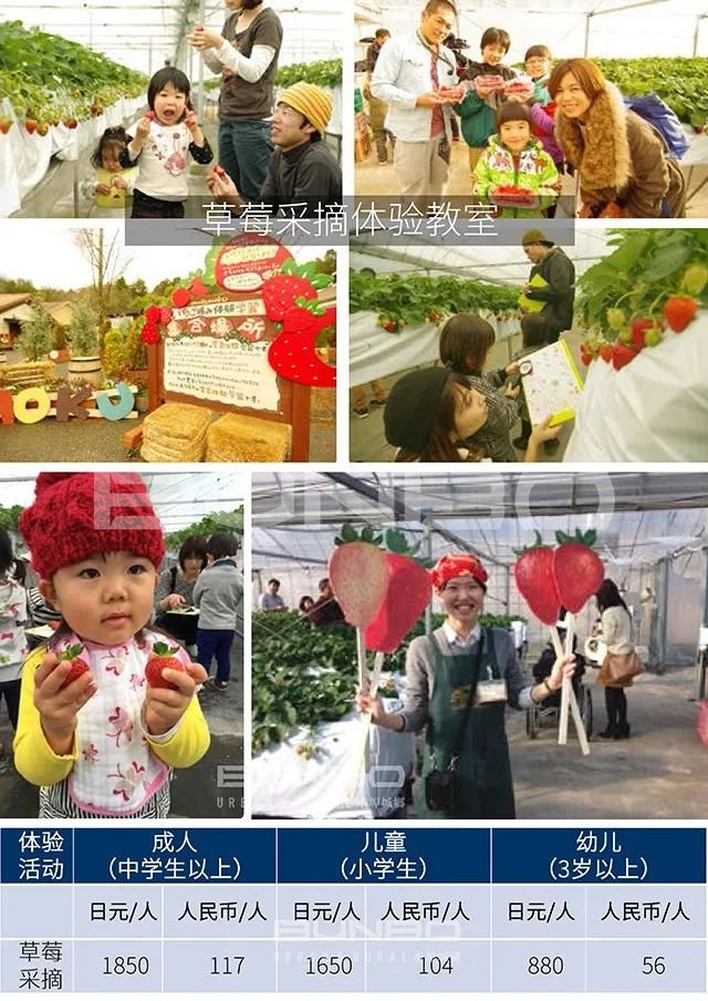 日本MOKUMOKU亲子农场