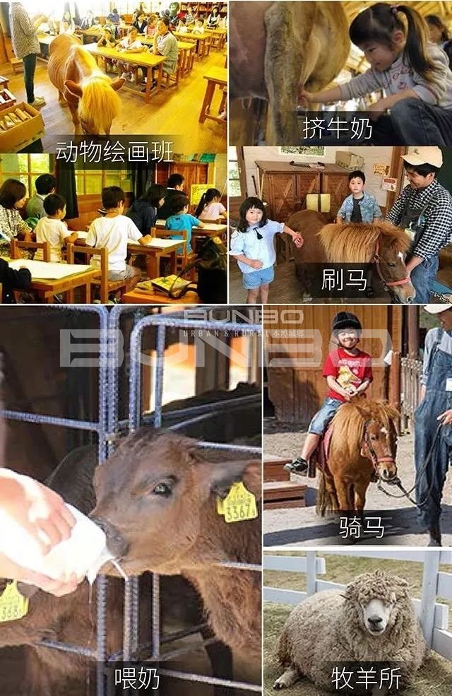 日本mokumoku猪主题农场乐园