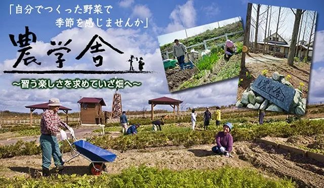 日本mokumoku猪主题农场乐园