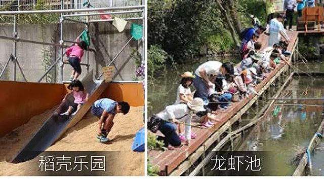 日本mokumoku猪主题农场乐园