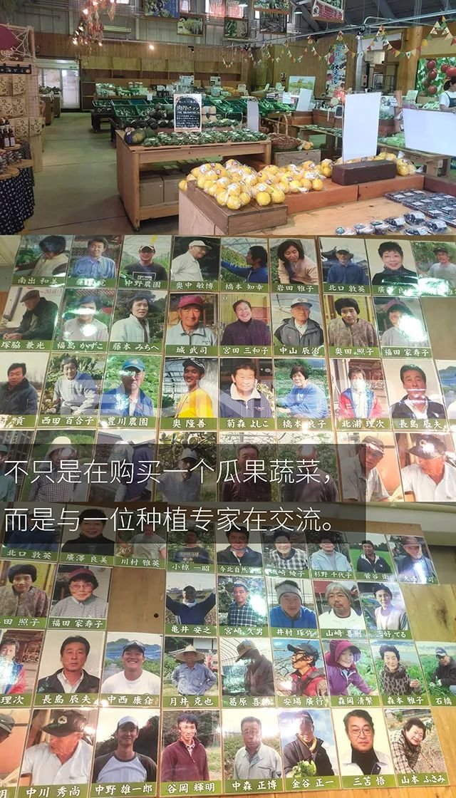 日本mokumoku猪主题农场乐园