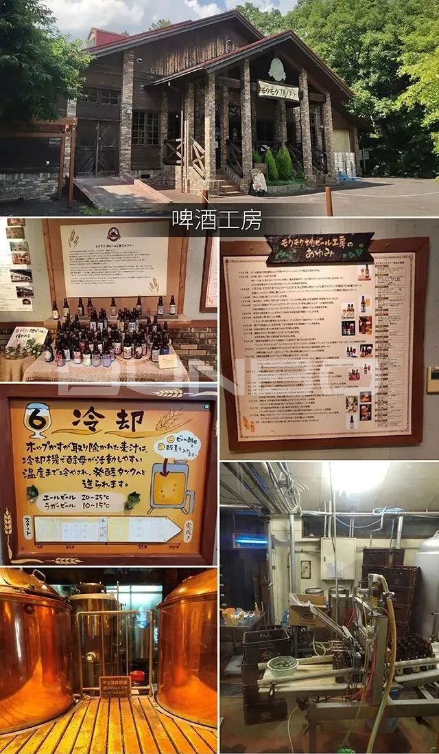 日本mokumoku猪主题农场乐园