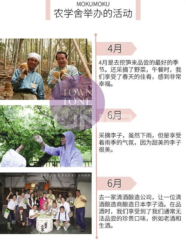 日本mokumoku猪主题农场乐园