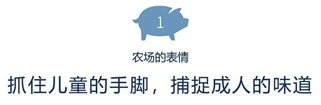 日本mokumoku猪主题农场乐园