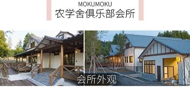 日本mokumoku猪主题农场乐园