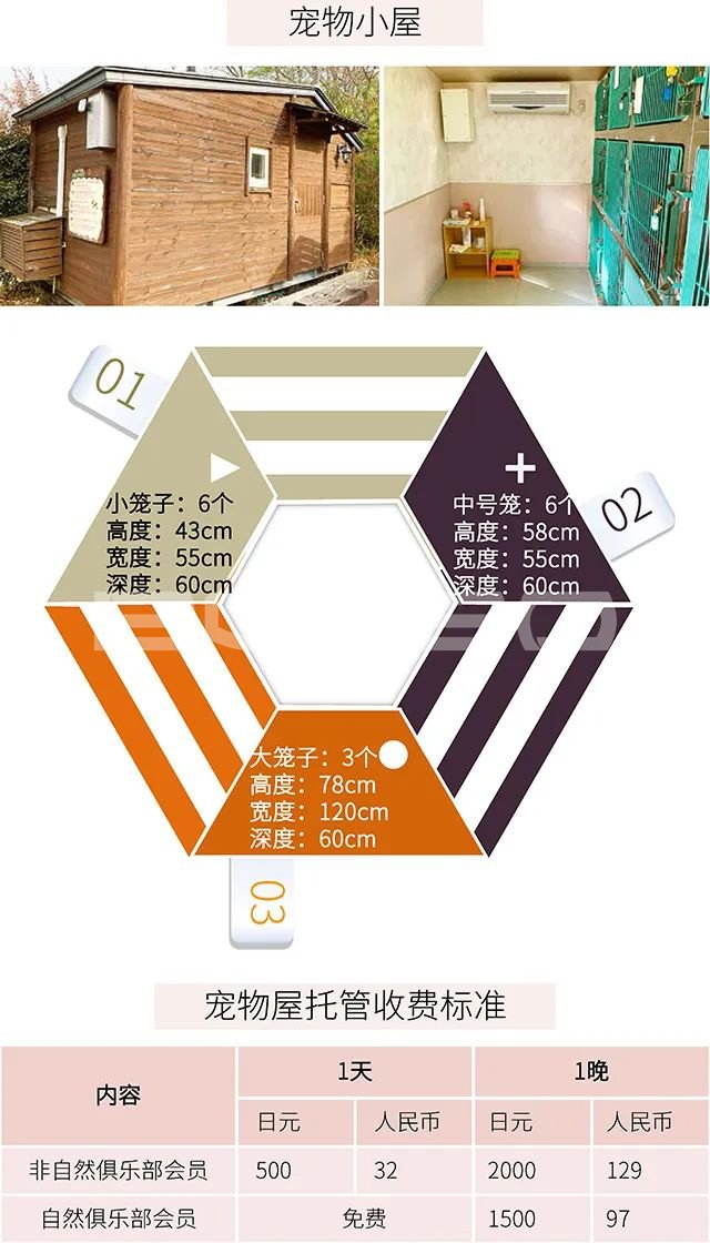 日本mokumoku猪主题农场乐园