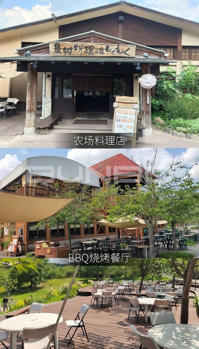 日本mokumoku猪主题农场乐园