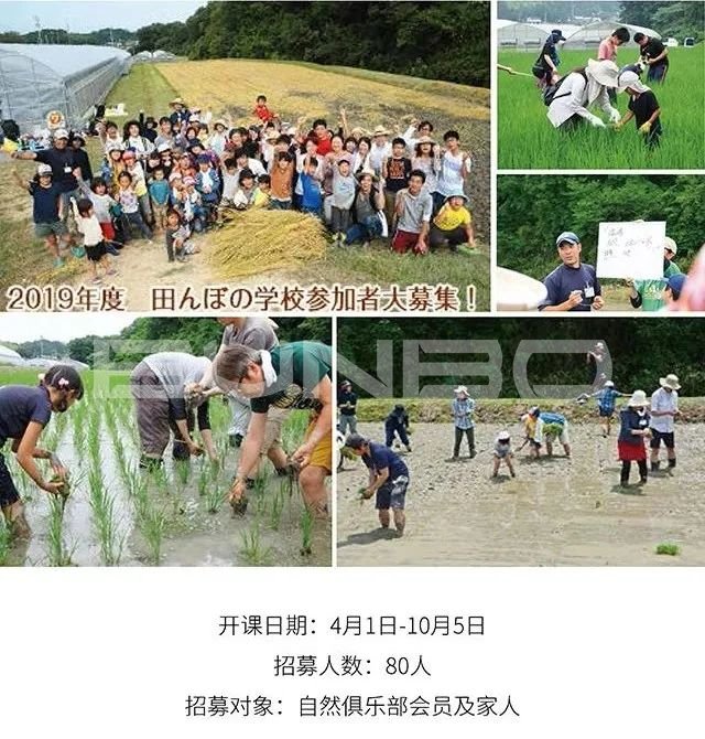 日本mokumoku猪主题农场乐园