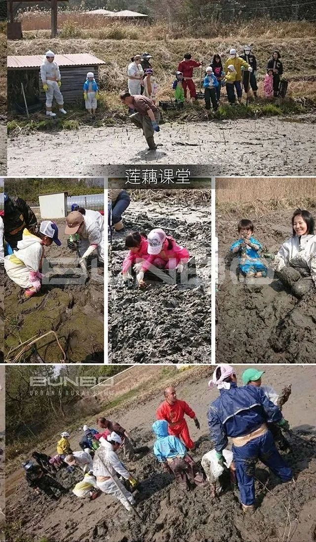 日本mokumoku猪主题农场乐园