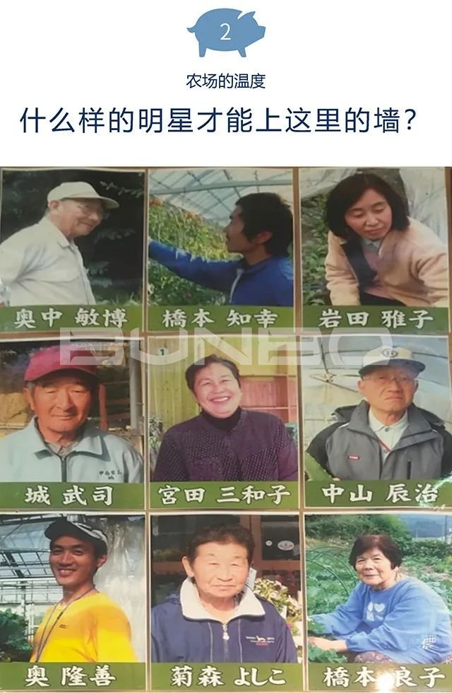 日本mokumoku猪主题农场乐园